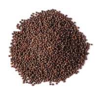 MUSTARD SEED 50G